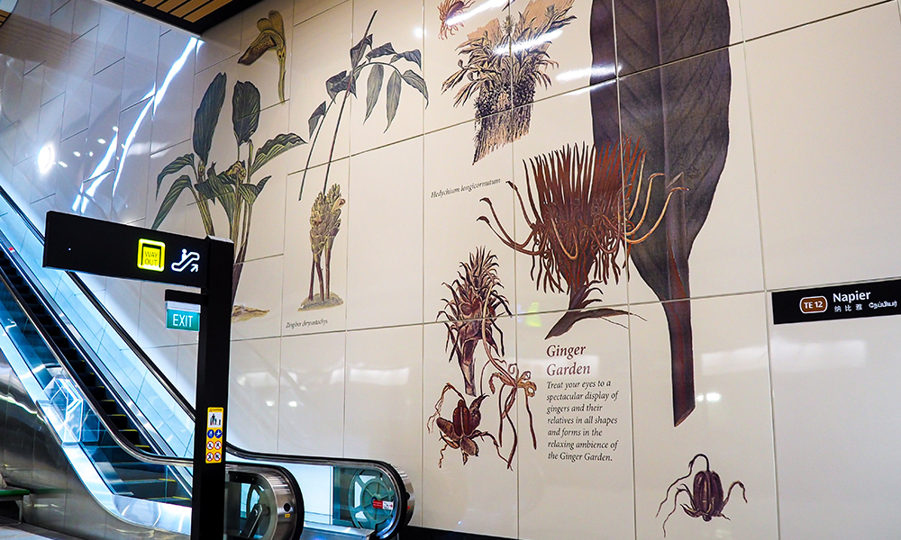 Napier Art
